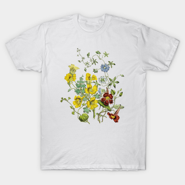 Wildflowers Botanical Illustration by Biophilia